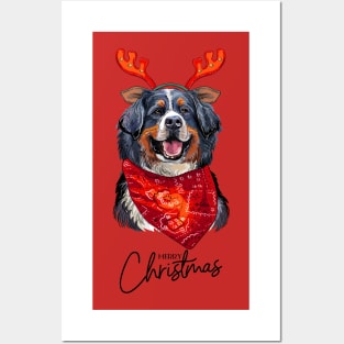 Christmas Bernese Mountain Dog Posters and Art